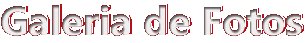 galeria4